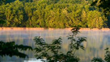 Tennessee River, Natchez Trace Parkway, Tennessee and Mississippi, USA