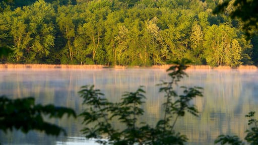 Tennessee River, Natchez Trace Parkway, Tennessee and Mississippi, USA