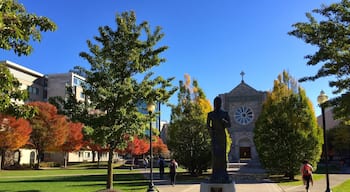 The center of campus at my alma mater, Canisius College, on a beautiful fall day.
#gogriffs
#lifeatexpedia