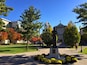 The center of campus at my alma mater, Canisius College, on a beautiful fall day.
#gogriffs
#lifeatexpedia