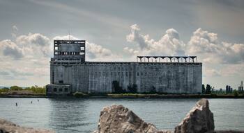 Sundays funday. It was a beautiful day this past Sunday. We took the dog for a walk and I also took couple of pictures. Here's one of the Cargill something