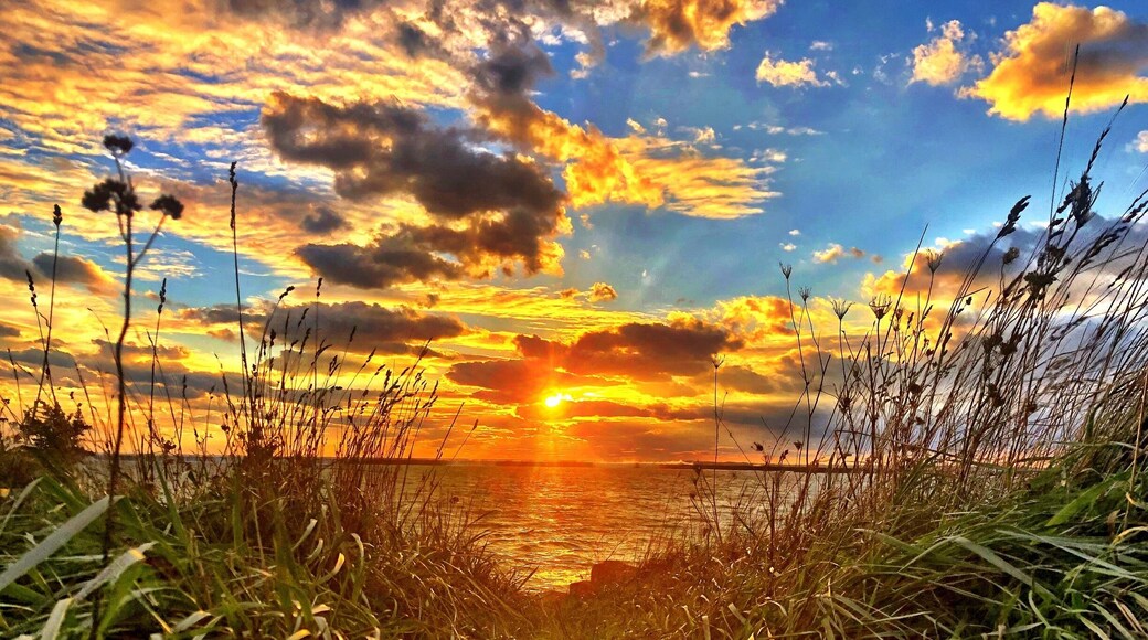 Buffalo fall sunsets are spectacular! #greatoutdoors