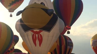 Balloons #troveontuesday #culture #localsecrets