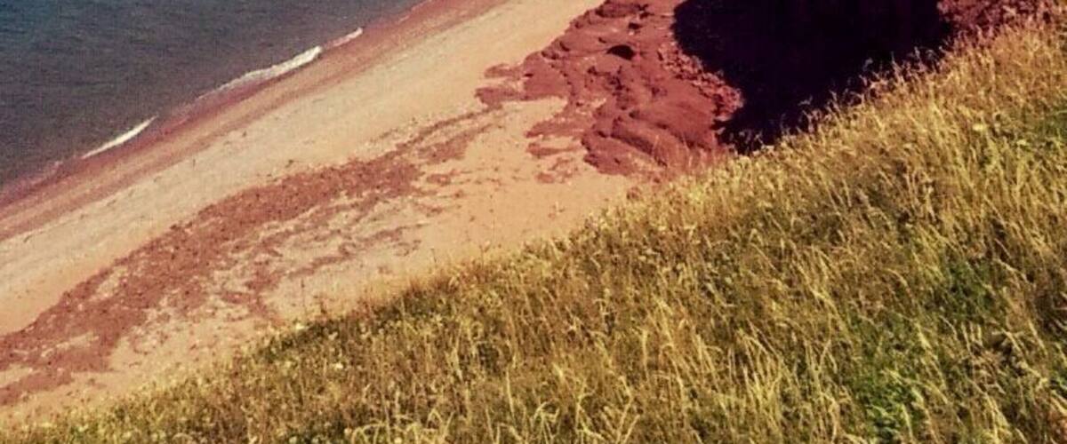 Paesaggio costiero con spiaggia sabbiosa, scogliera rocciosa e l'oceano.