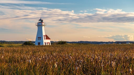 A white lighthouse with a red top and a red door, situated in a field of tall grass.