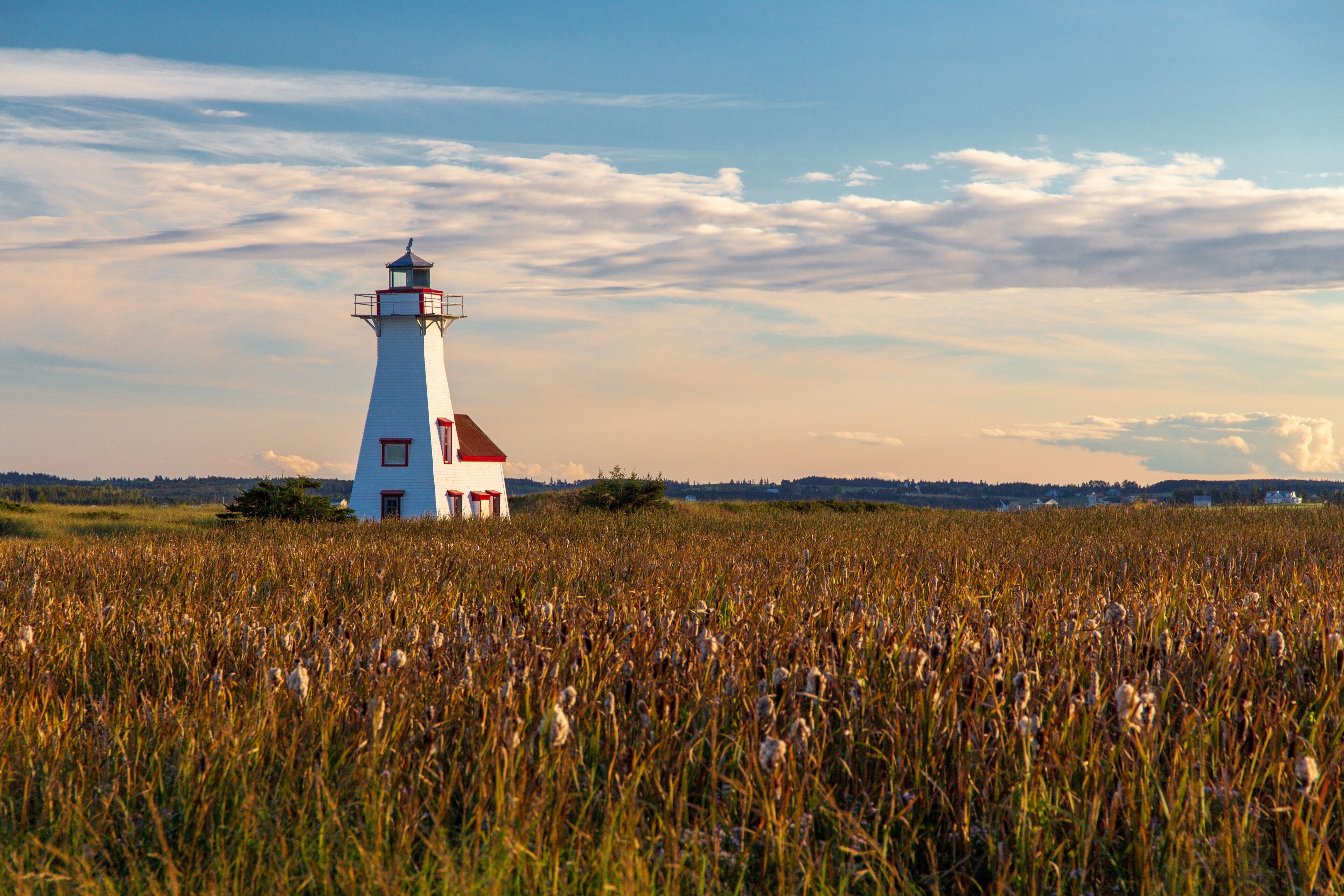 A white lighthouse with a red top and a red door, situated in a field of tall grass.