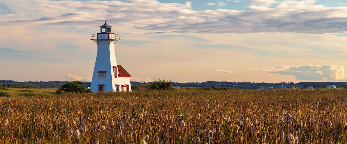 A white lighthouse with a red top and a red door, situated in a field of tall grass.