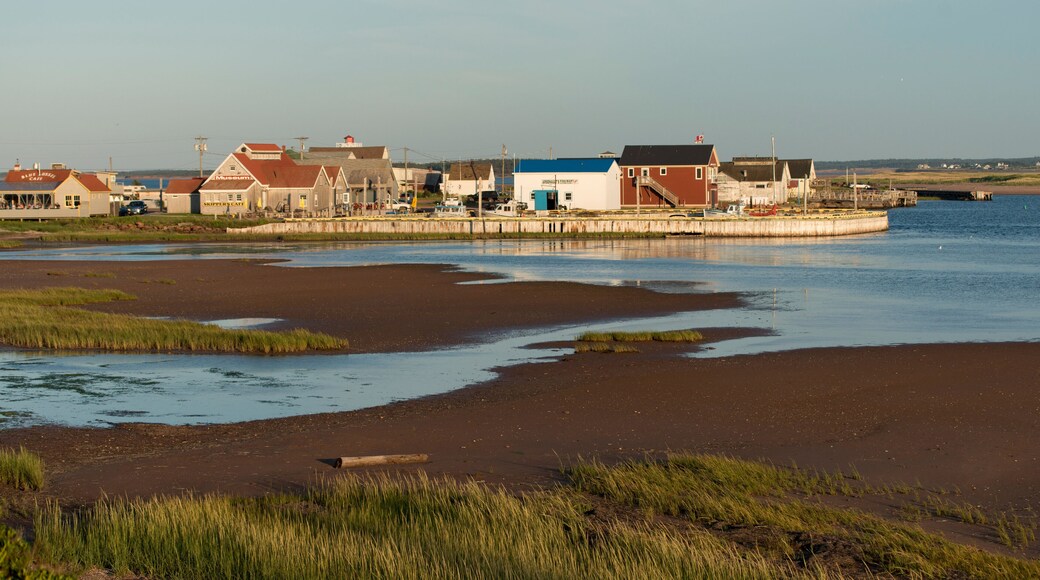 รัสติโก