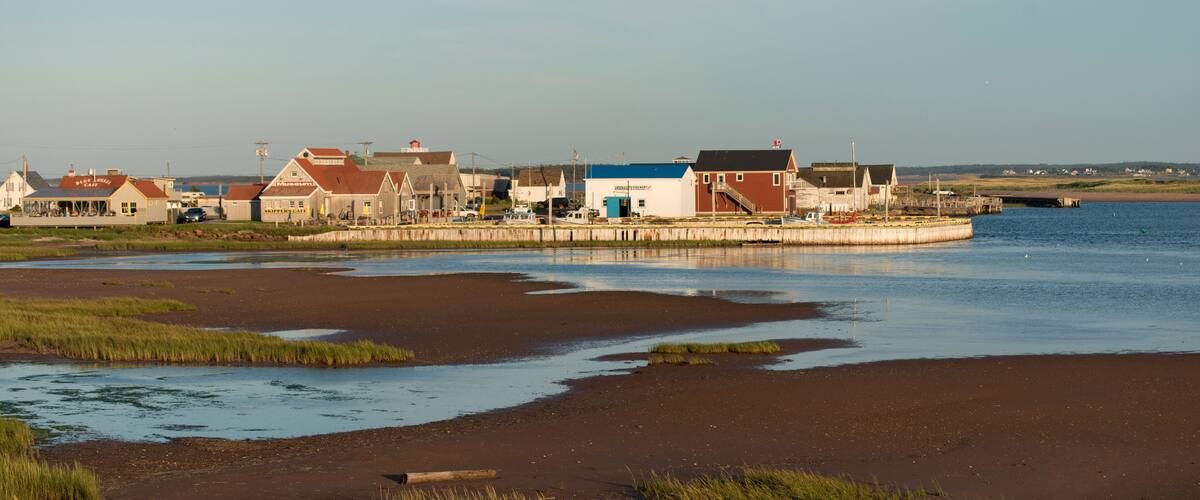 A coastal town with houses and a pier extending into the water.