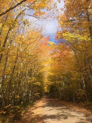 The rail to trails path in the fall