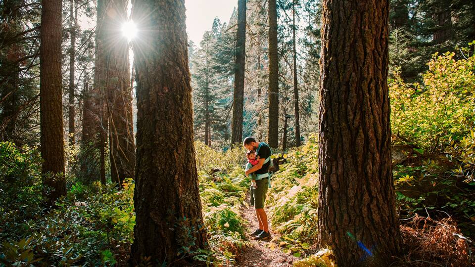Father kissing baby girl in carrier in the forest at sunset, Sequoia National Park, California, USA