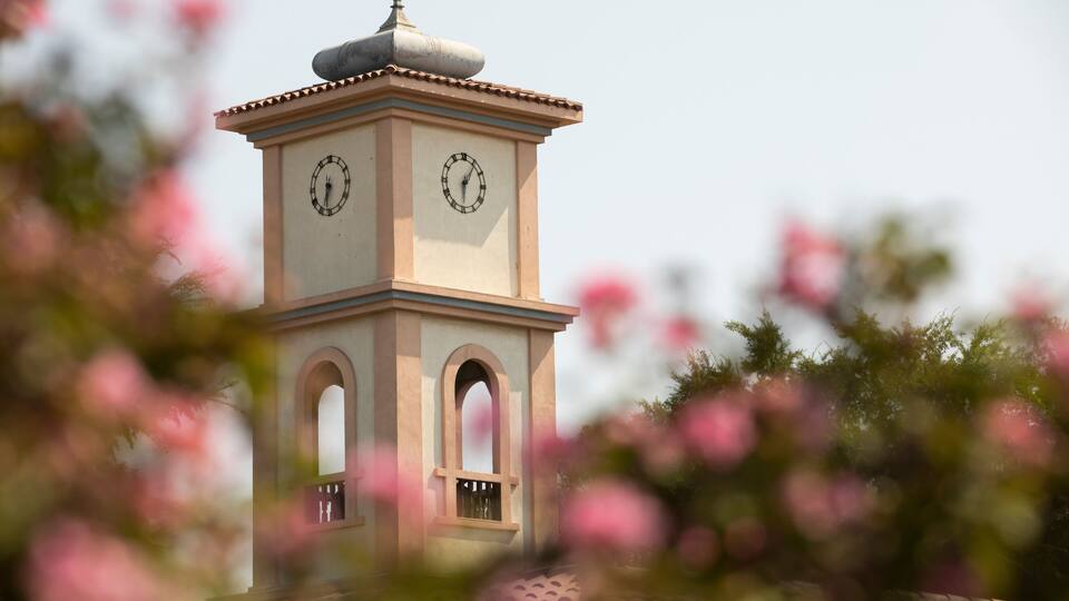 A clock tower with a dome and a clock face, surrounded by pink flowers.
