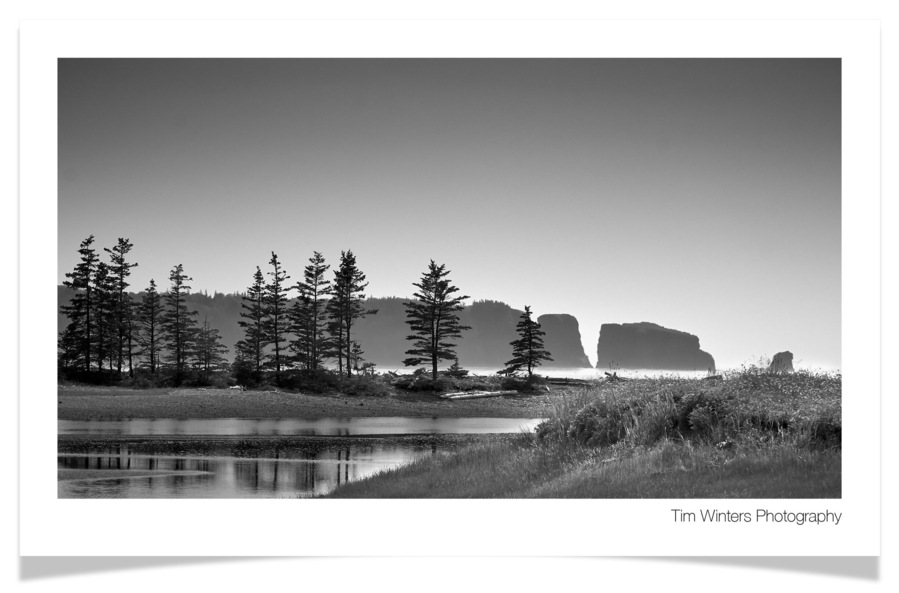 Looking toward Cape Split