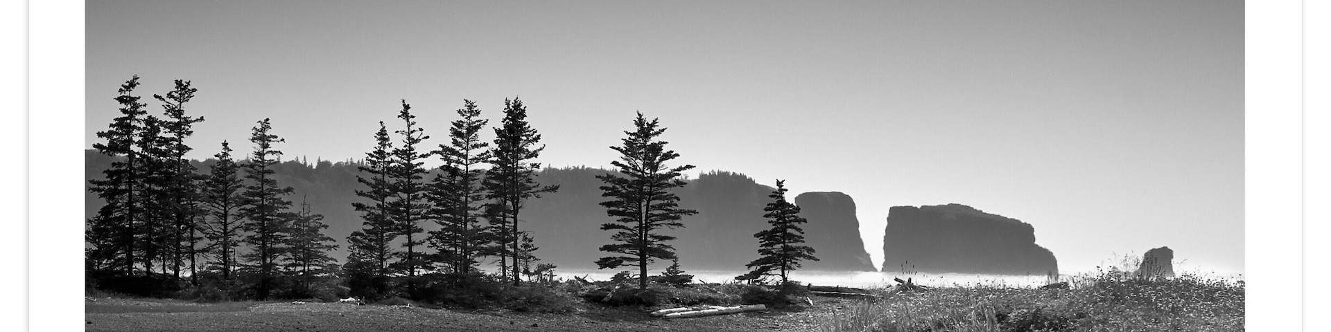 Looking toward Cape Split
