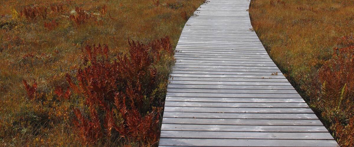 The seaside adjudication of Keji is small isn't attached to the main park, but it is still a national park and a worthy visit. The unique characteristic this National Park protects is "where the bog meeting the sea." Plan about 3-4 hours to hike all the trails.