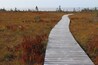 Kejimkujik Nationalpark und National Historic Site von Kanada