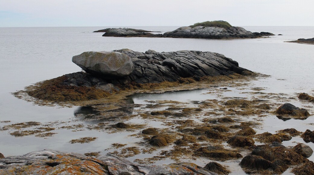 The rocks at the seaside adjudication of Keji, which is small and isn't attached to the main park; but it is still a national park and a worthy visit. The unique characteristic this National Park protects is "where the bog meeting the sea." Plan about 3-4 hours to hike all the trails.