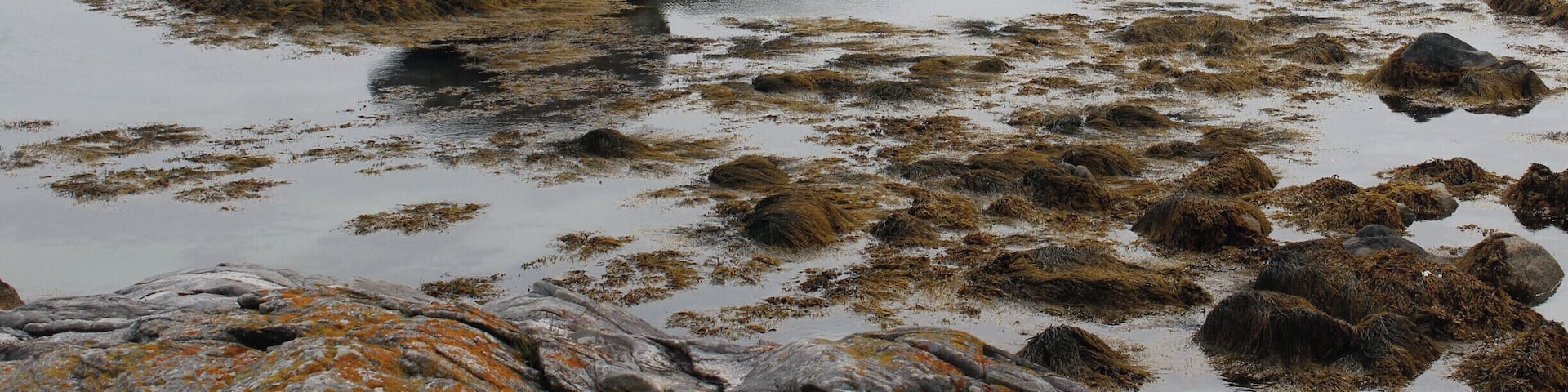 The rocks at the seaside adjudication of Keji, which is small and isn't attached to the main park; but it is still a national park and a worthy visit. The unique characteristic this National Park protects is "where the bog meeting the sea." Plan about 3-4 hours to hike all the trails.