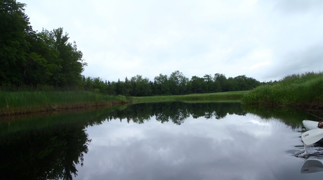 Een rustige rivier met een rode kajak en een witte boot aan de rechteroever.