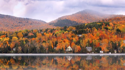 Un lago rodeado de árboles de colores otoñales y casas en un día neblinoso.