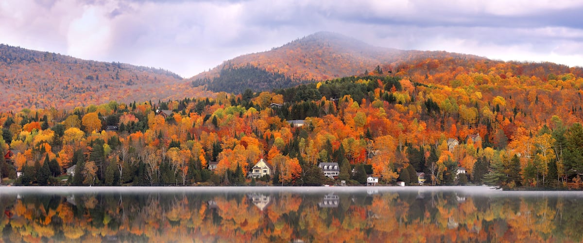 A lake surrounded by autumn-colored trees and houses on a misty day.