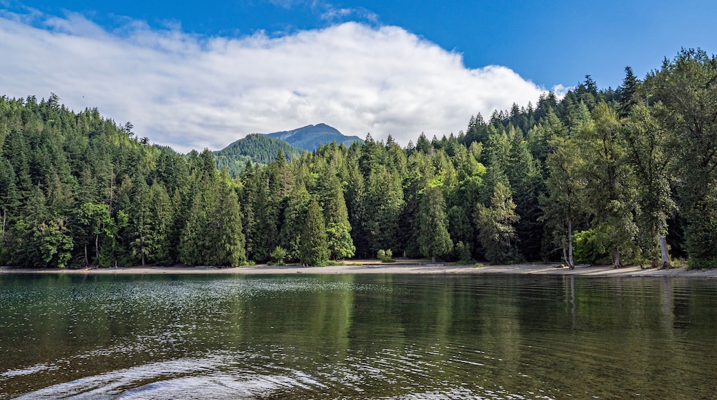 Harrison lake nearby areas within Sasquatch provincial park showing the rocky shoreline, forested backdrop, and glimpses of recreational spots, Harrison, BC, Canada