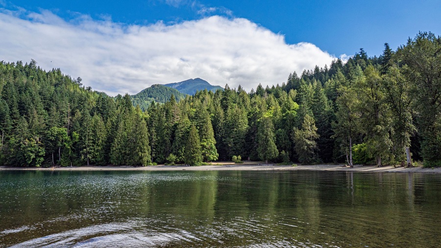 Harrison lake nearby areas within Sasquatch provincial park showing the rocky shoreline, forested backdrop, and glimpses of recreational spots, Harrison, BC, Canada