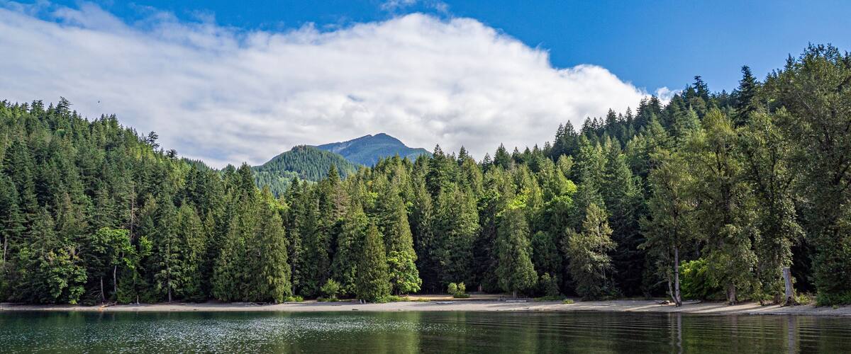 A calm lake surrounded by dense forest and a mountain in the background.