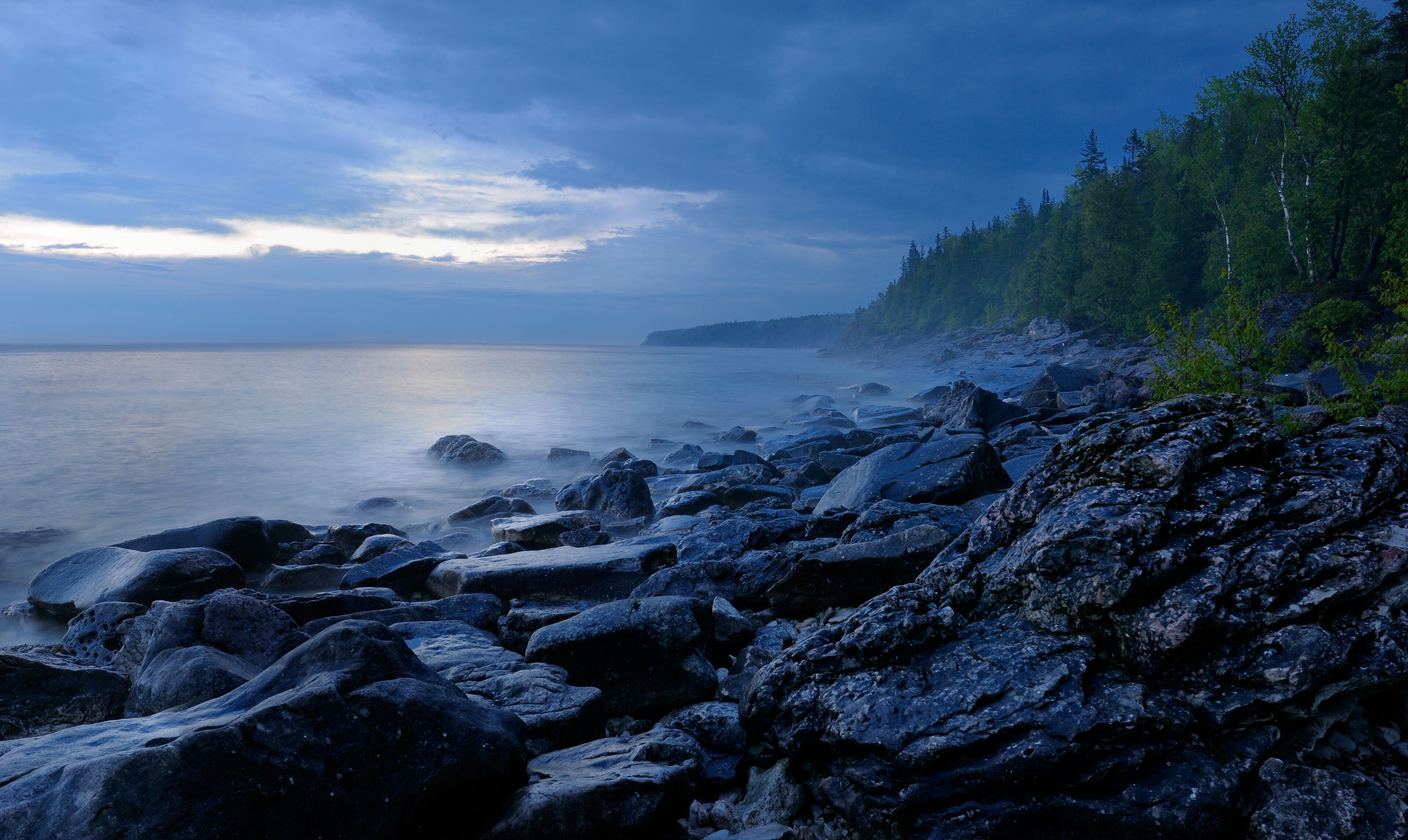 A rocky shoreline with a forested area and a calm sea.