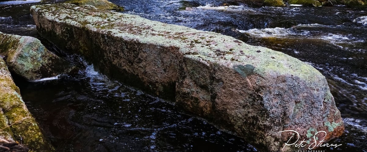 A river flowing through a forest with large rocks and trees.