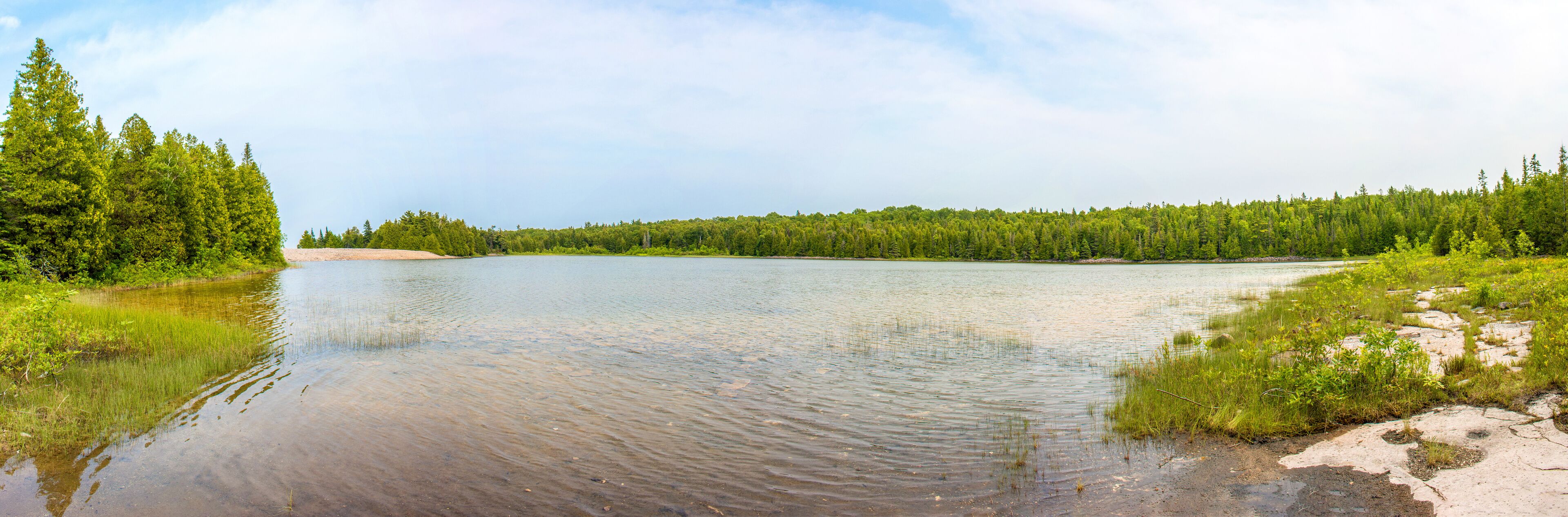 A calm river surrounded by dense forests and a clear sky.