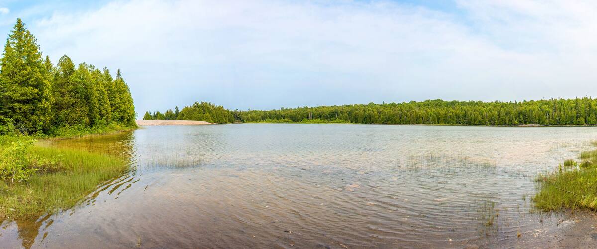 A calm river surrounded by dense forests and a clear sky.