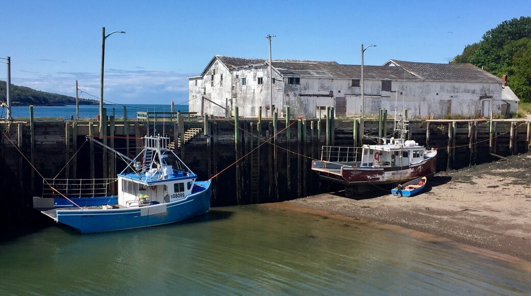 Somewhere between low and high tide on the Bay of Fundy.