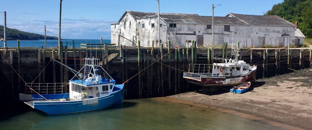 Somewhere between low and high tide on the Bay of Fundy.