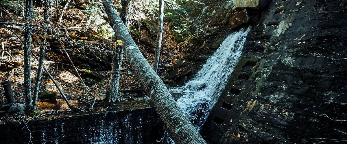 Una cascada fluye sobre un saliente rocoso rodeado de árboles.