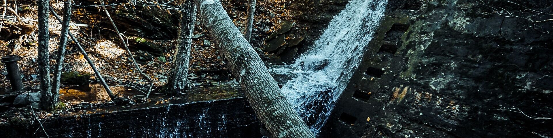 Walked about 200 feet into the trail until you come to the intersection, walk left about 1 km and then descend 300 ft down the cliff edge to get here. The cliff is extremely challenging to navigate.