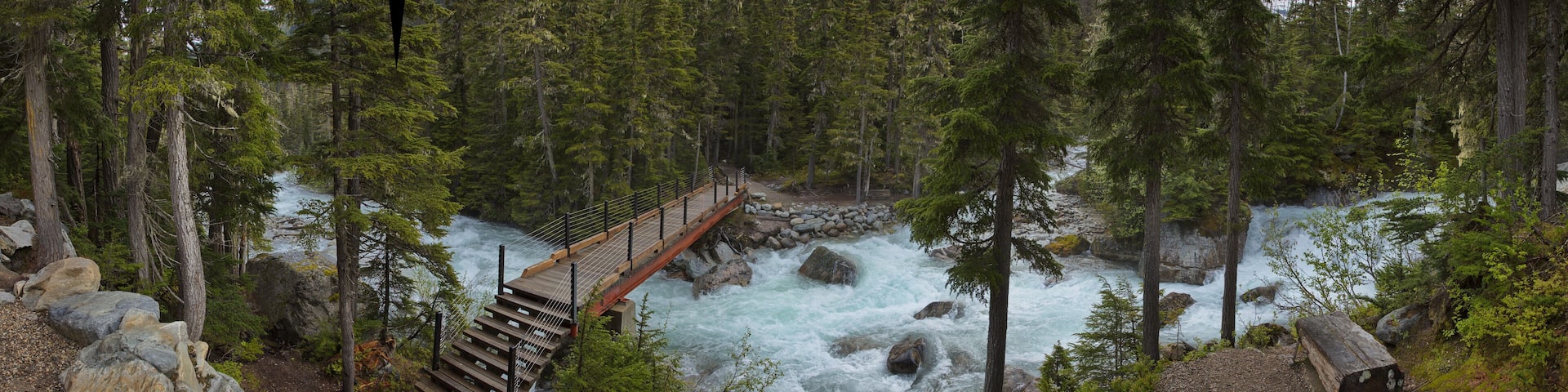 A wooden bridge over a fast-flowing river surrounded by dense forest.