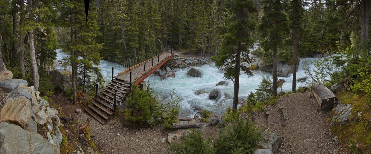 A wooden bridge over a fast-flowing river surrounded by dense forest.