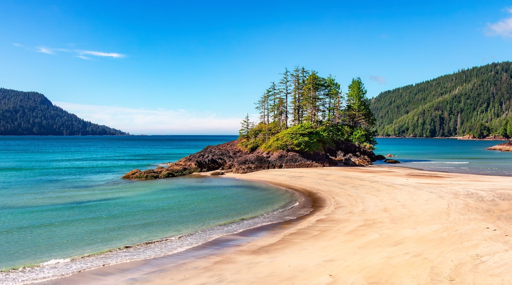 เวสต์ ริเวอร์