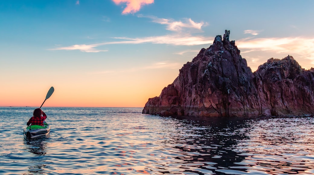 เวสต์ ริเวอร์