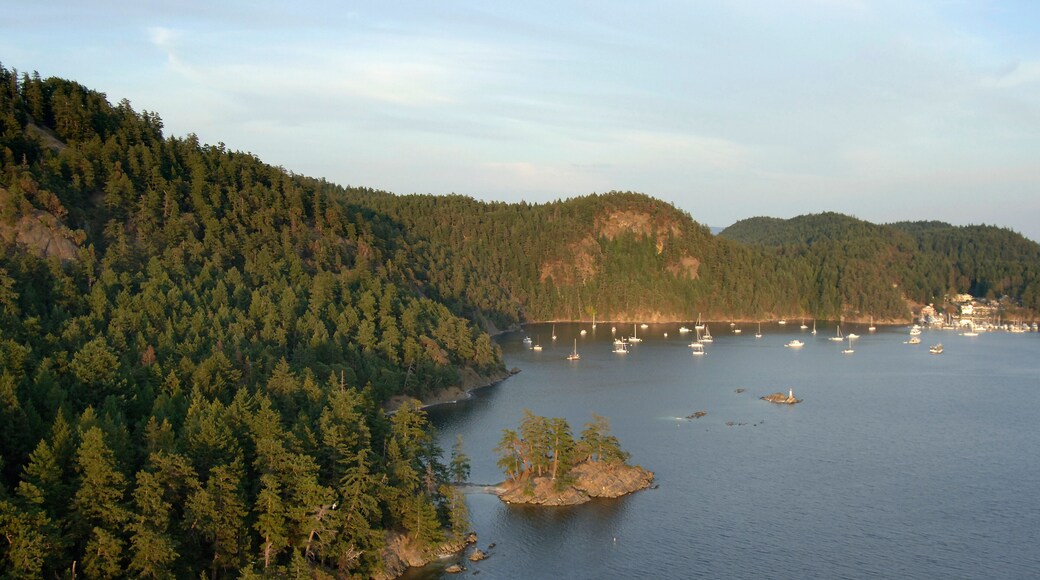 Aerial photo of Poets Cove Resort & Spa and the anchorage at Beaumont Marine Park in Bedwell Harbour, South Pender Island, British Columbia, Canada