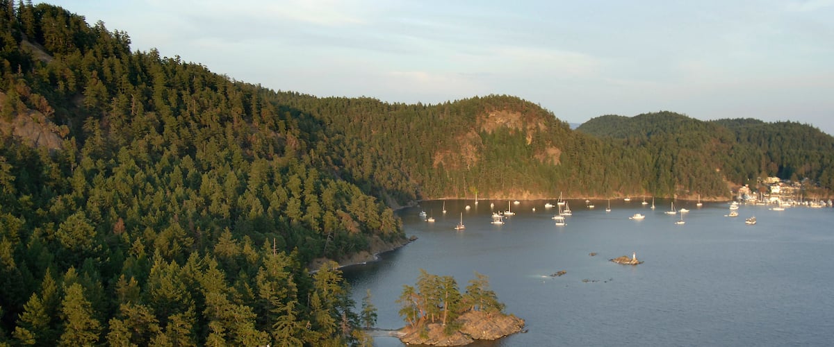 A coastal landscape with dense forests, a small island, and several boats in the water.
