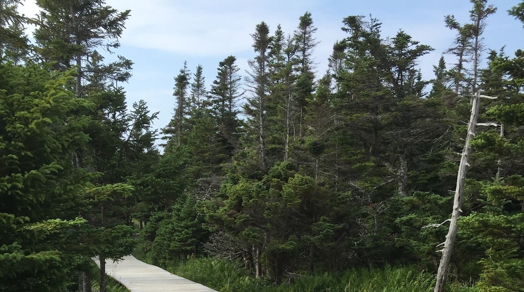 A great hike and views.