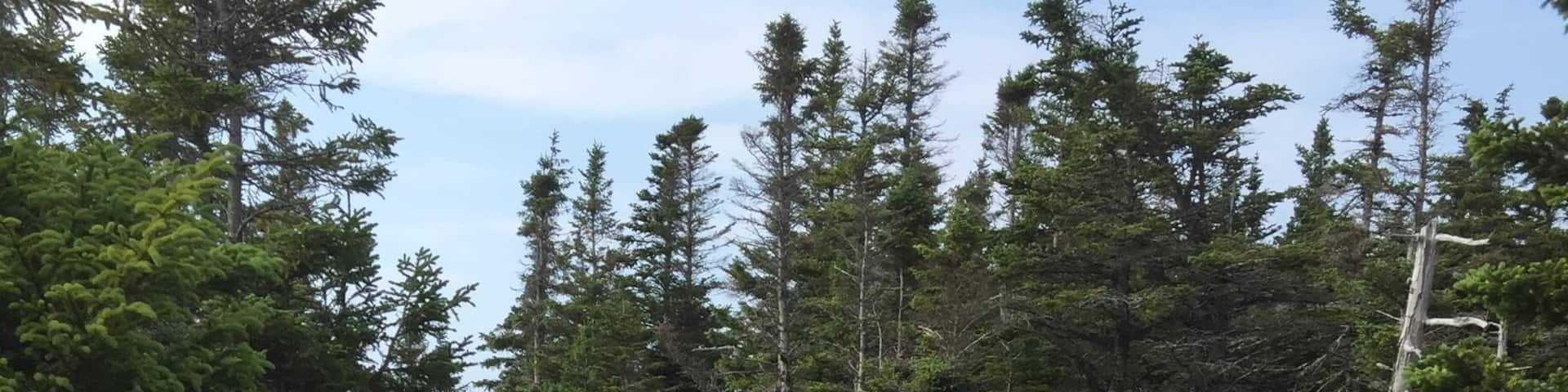 A great hike and views.