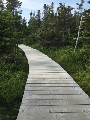 A great hike and views.