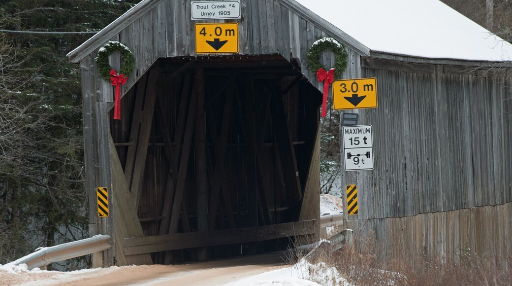 Trout Creek Covered Bridge
