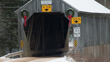 Trout Creek Covered Bridge