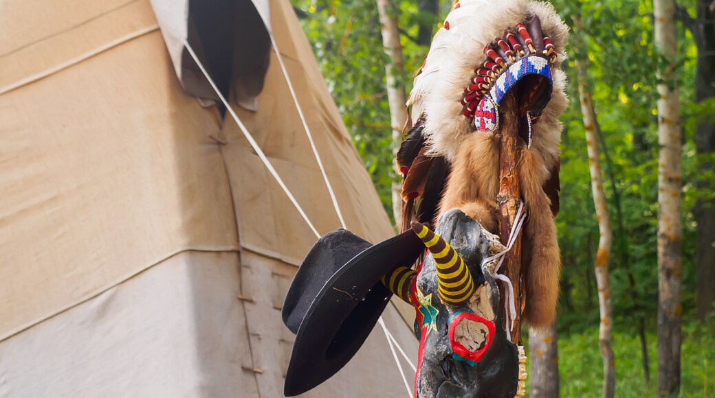 Reserva de la Nació Primerenca de Millbrook