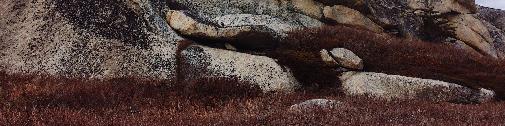 On warm sunny days when Peggy's cove is packed with tourists take a stroll around the rocks of Pollys Cove. A beautiful hike. Find the little dirt parking lot about 600m before the entrance to Peggy's cove