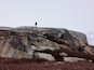 On warm sunny days when Peggy's cove is packed with tourists take a stroll around the rocks of Pollys Cove. A beautiful hike. Find the little dirt parking lot about 600m before the entrance to Peggy's cove